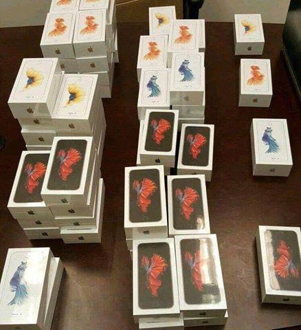 Now in Stock Apple iPhone 7 and 7plus