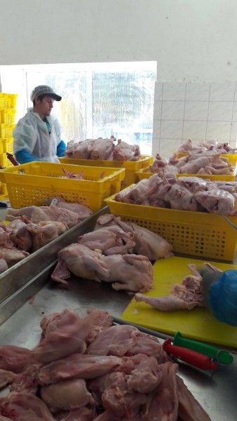 تصدير اللحوم من اوكرانيا 
